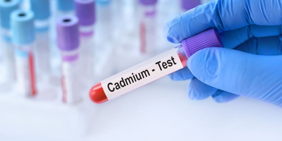 Cadmium : le dernier scandale de santé publique ? Que faut-il savoir ?