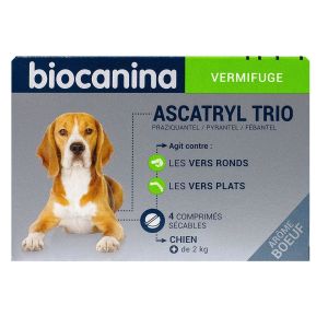 Ascatryl trio vermifuge 4 comprimés