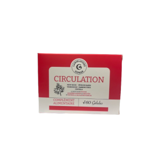 Giphar Circulation Gelule 60