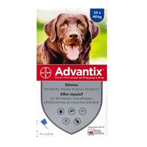 Advantix Gr/chien Pipet 4ml 4