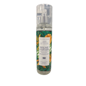 Brume Parfumée Mangue Eau d'Aloé Vera 250ml