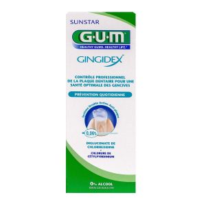 Gum Gingidex B/bou0,06p100+den
