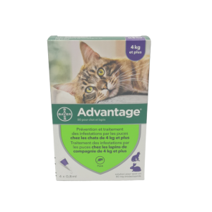 Advantage- 40 Chat et Lapin de + de 4kg pipettes x4