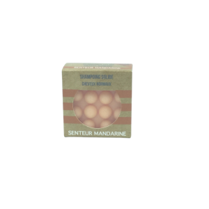 Shampoing Solide Cheveux Normaux