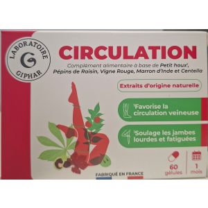 Giphar Circulation Gelule 60
