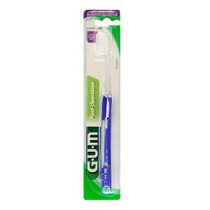 Bden But Gum Delicate 317m Ass