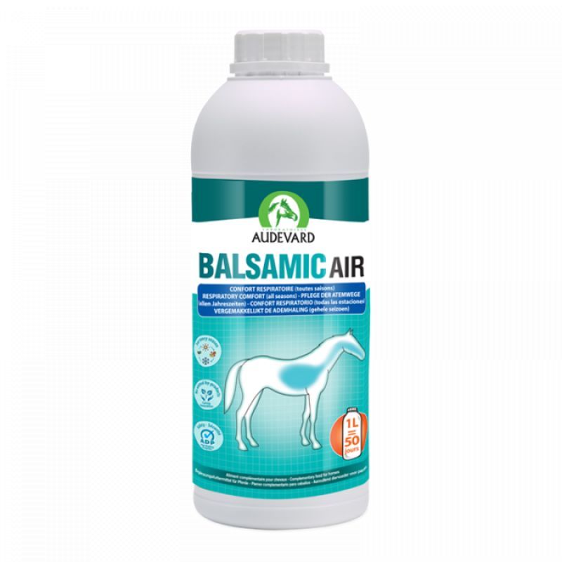 BALSAMIC AIR 500ML