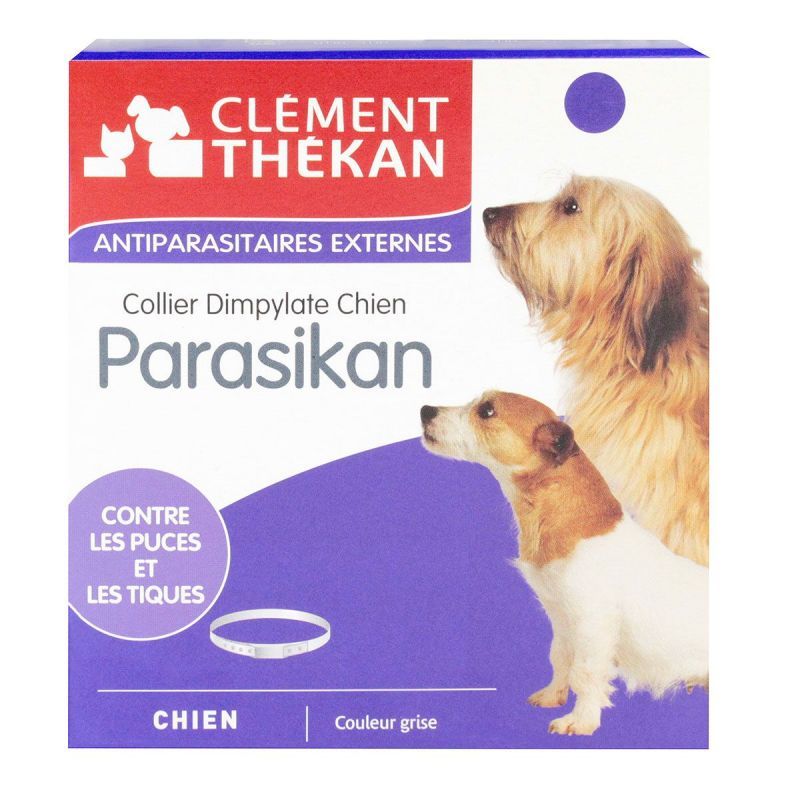 Parasikan Collier Chien