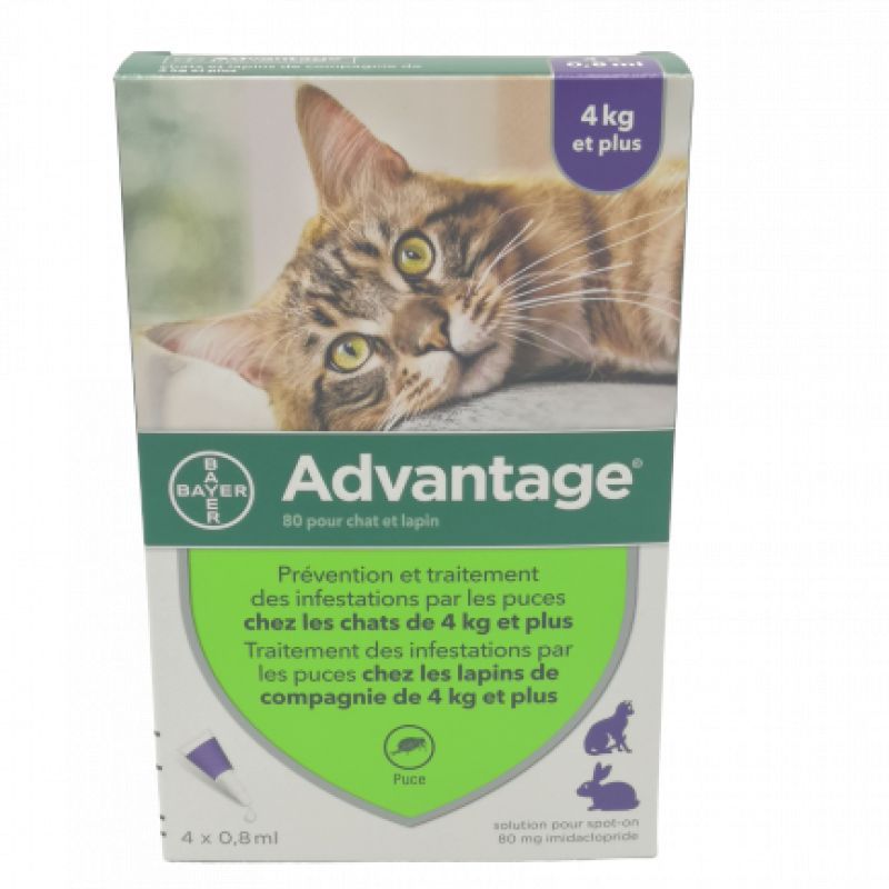 Advantage- 40 Chat et Lapin de + de 4kg pipettes x4