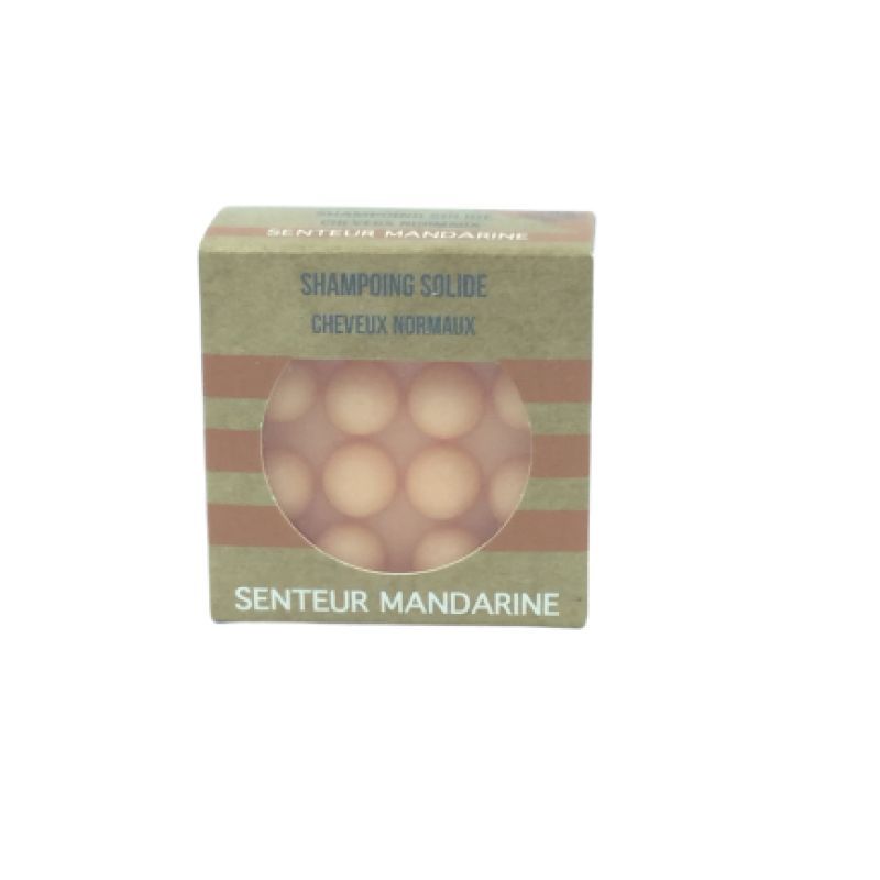 Shampoing Solide Cheveux Normaux