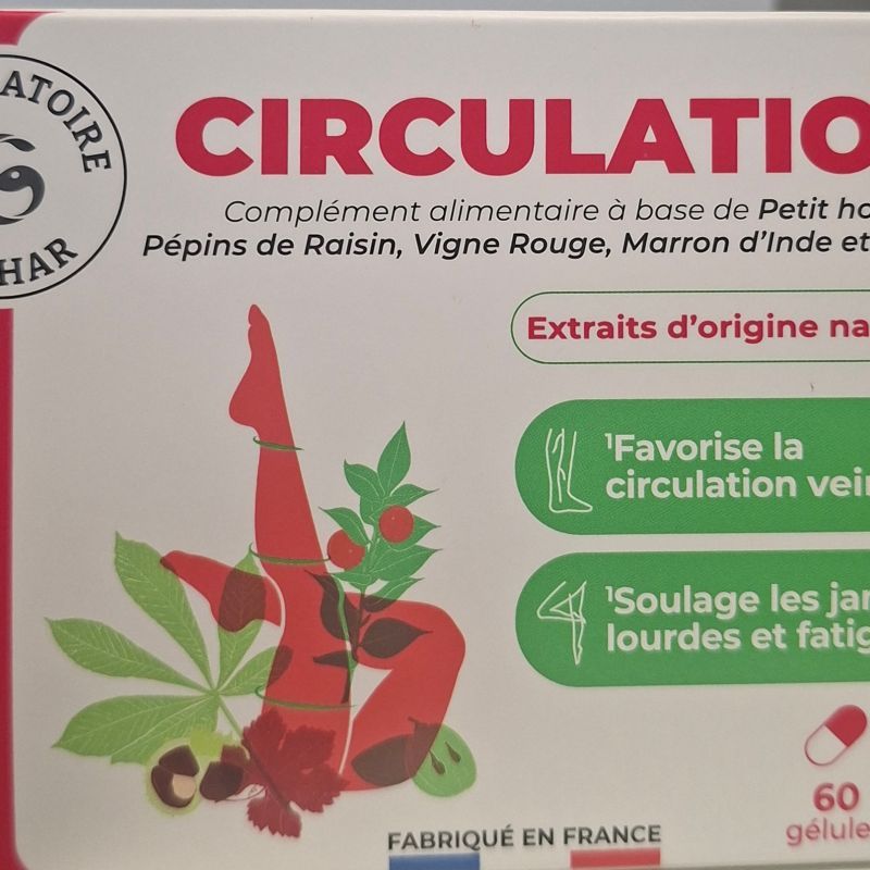 Giphar Circulation Gelule 60
