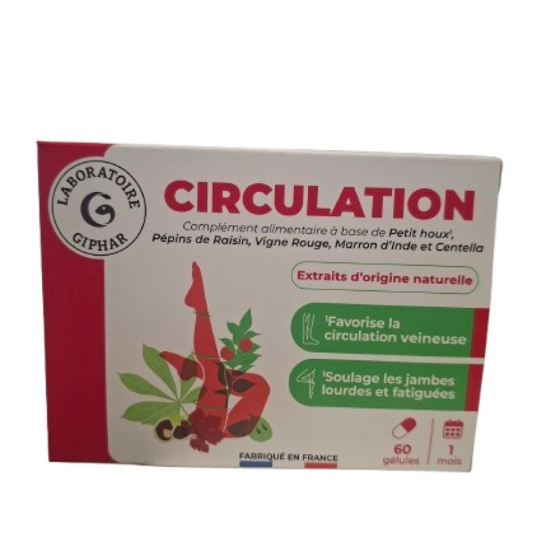 Giphar Circulation Gelule 60