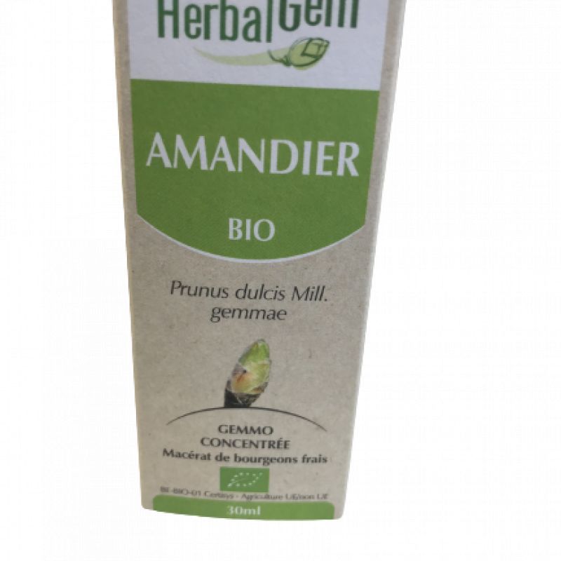 Herbalgem - Amandier BIO 15ml