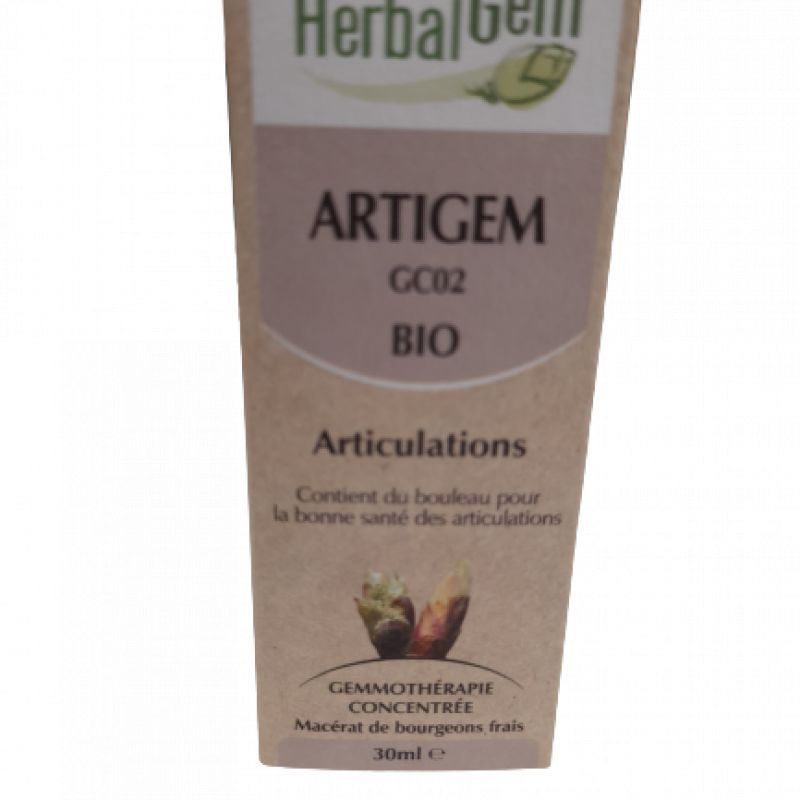 Herbalgem Artigem Bio 30ml